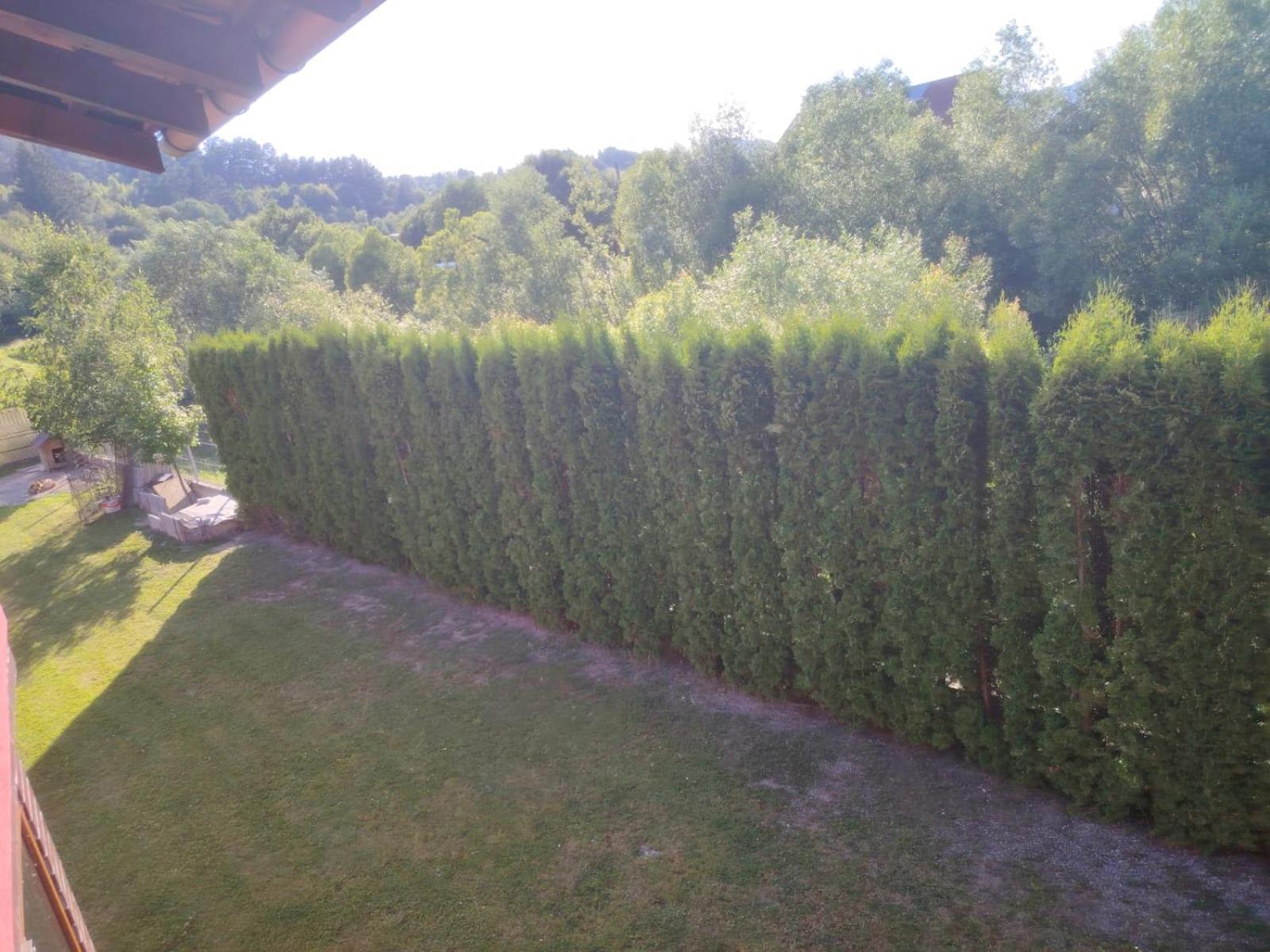 Pensiunea Floro Întorsura Buzăului Exterior foto